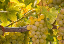 �й����Ѿ��������˾��������λ-������Ե��