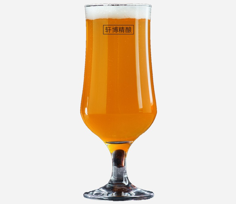 精酿品牌轩博啤酒获近5000万元Pre-A轮融资,梅花创投领投-不朽情缘网