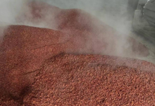 2023���ϰ���׾Ʋ������ս�14.8%��ɽ����4%-������Ե��