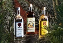 全球龙舌兰酒市场2029年将达155.7亿美元-不朽情缘网