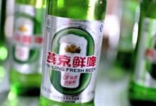 燕京鲜啤6月6日上新-不朽情缘网