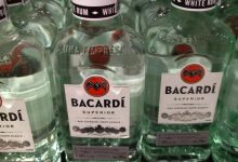 2022���ϰ������������ݳ�¯������˫��-������Ե��