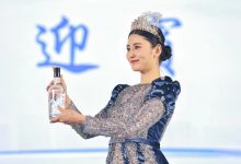 宜宾酒“迎宾”“礼宾”“贵宾”三款新品白酒发布-不朽情缘网