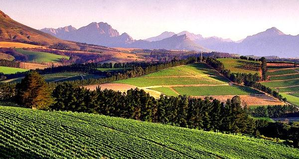 第三届中国宁夏国际葡萄酒文化旅游博览会6月9/10日在银川召开-不朽情缘网