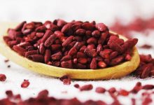 ���վ��£������ɸ۽������С�����ϰ׸ɵ�ҵ�����桢������ʿ�ɽڵ�ַ���-������Ե��