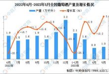 2023��5���ҹ����ѾƲ���ͬ�ڳ�ƽ-������Ե��