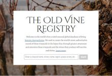 ���Ѿ�����������վ����-������Ե��