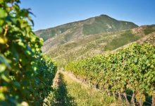 ŷ�˴�����ѾƲ�ҵ�¹�-������Ե��