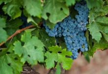 ��̨�������Ѿ�Ʒ�Ƽ�ֵͻ��860��-������Ե��