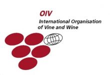 OIV��2024�꽫�ٰ��45���������������Ѿƴ��-������Ե��