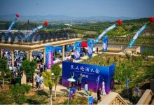 ɽ�������������ѾƳ�������54.8%-������Ե��