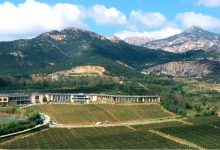 �ػʵ��������Ʒ����ʯɽ���ѾƲ���-������Ե��