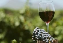 贺兰山东麓葡萄酒前三季度销售9.1亿,销往40多个国家地区-不朽情缘网