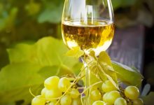 烟台被世界杰出葡萄酒之都联盟宣布为观察员城市-不朽情缘网