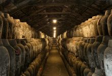 ��Խ��ɽ�����ɽ2025ǰ�����ȲƱ�-������Ե��