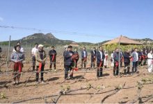 2025������ɪ�����ߺӱ�ʡ��ʯɽ��������չ�ٽڳɹ��ٰ�-������Ե��