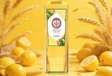 ���ӵ��Ƴ�28�����ʷ�ζ������-������Ե��