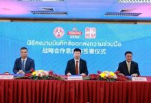 青岛啤酒与泰国卡拉宝、南荣集团签署战略合作-不朽情缘网