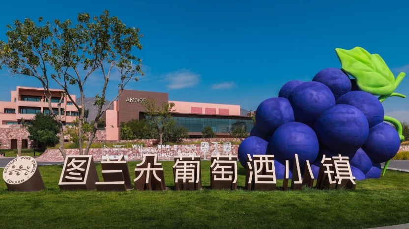 2025首届葡萄酒风土文化双年展在宁夏启幕-不朽情缘网