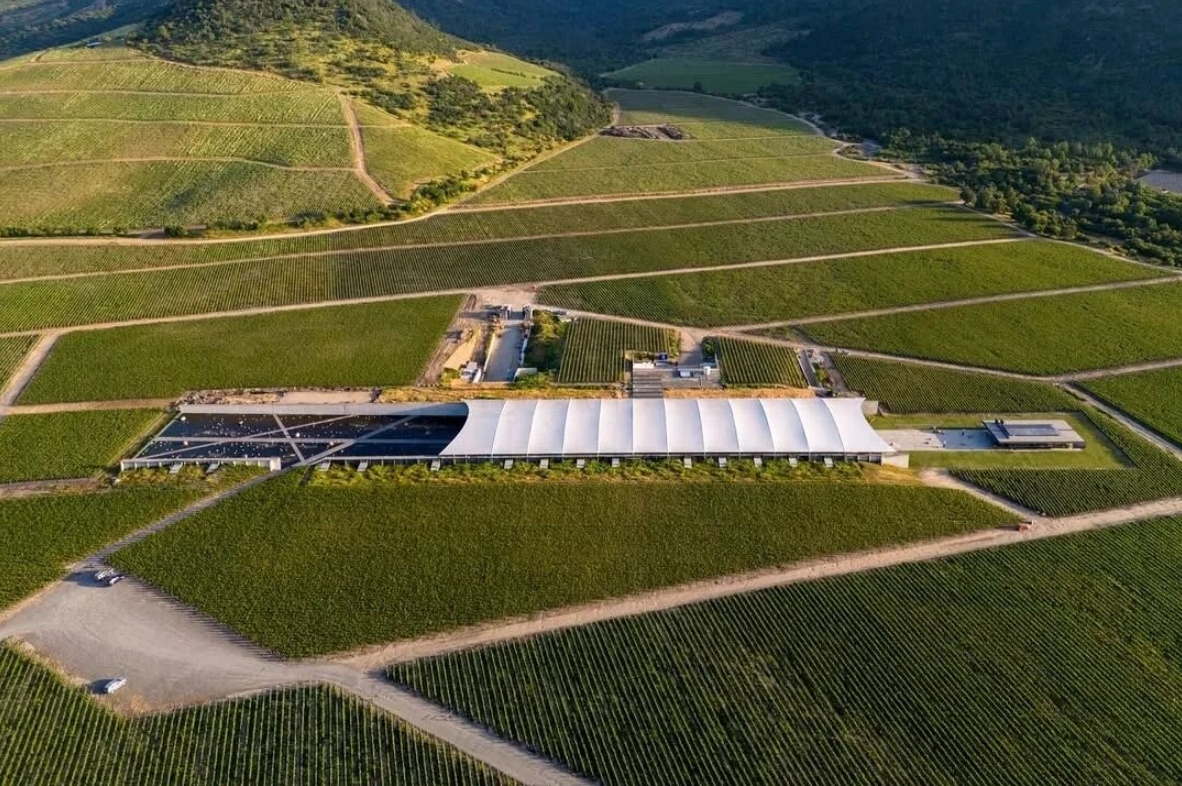 2025世界50佳酒庄榜单正式揭晓,附51-100最佳酒庄名单-不朽情缘网